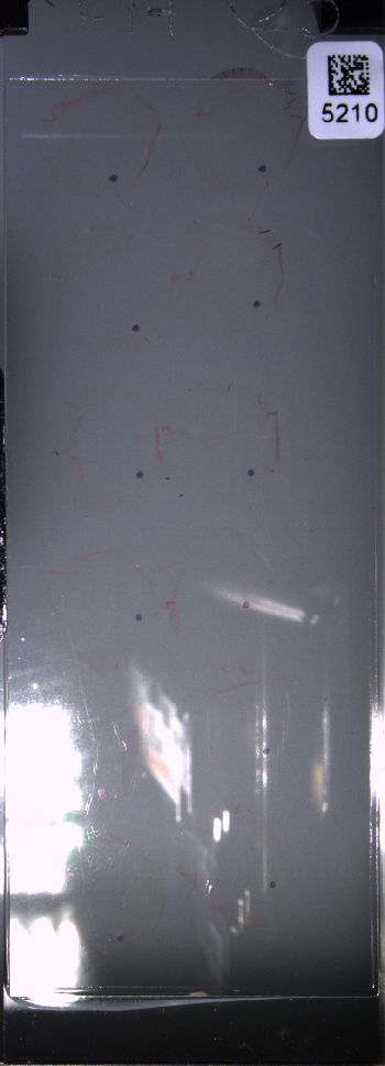 Media type: image; Special Collections 4011   shows specimen_part histological serial section;